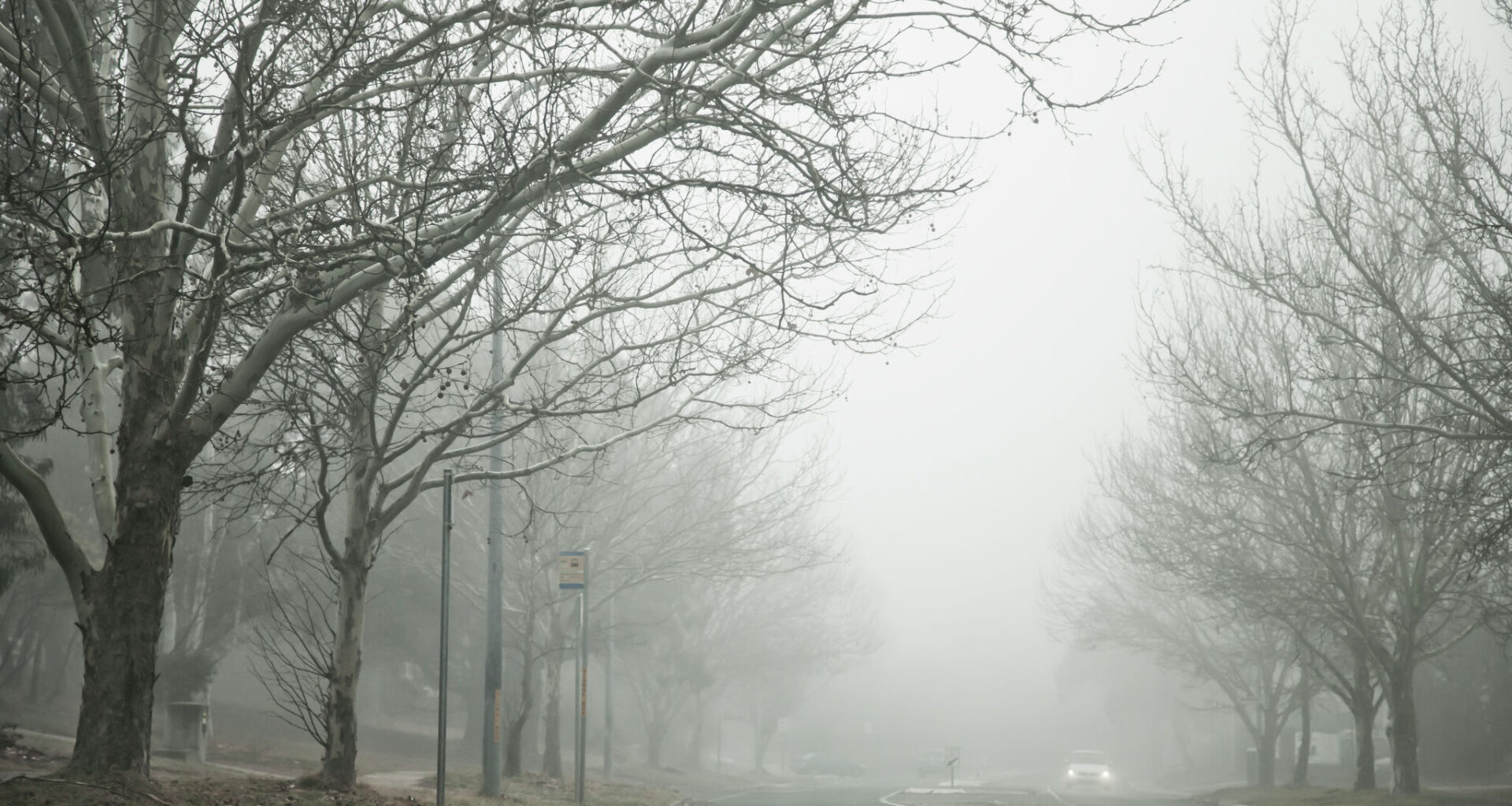 Arctic front to plummet temperatures across Texas this weekend