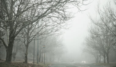 Arctic front to plummet temperatures across Texas this weekend