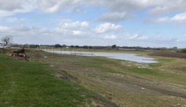 Lake Corpus Christi was recorded on March 5 at its historically lowest level, 9.9%.