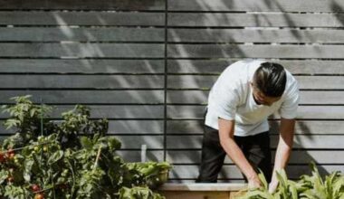 San Antonio blooms as top-20 best city for urban gardening