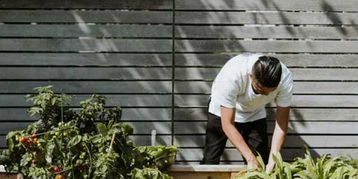 San Antonio blooms as top-20 best city for urban gardening