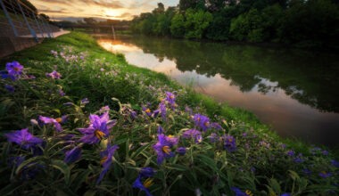 Fast-growing Texas city invests $464M to keep up with water demand