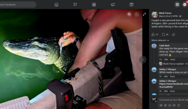 Texas fisherman reels in alligator at Lake Arlington, fined