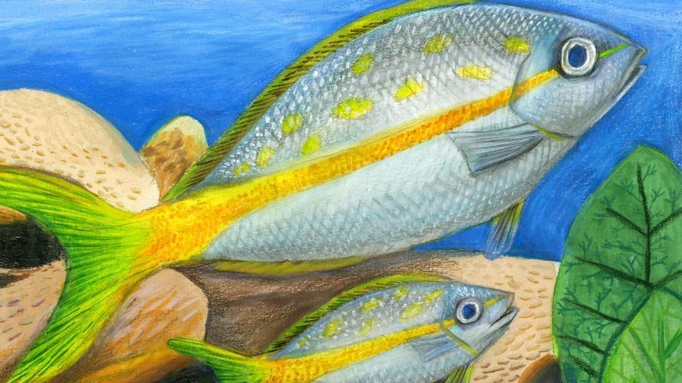 Austin student Eva Huang finished second in the 4-6 grade division. (Photo: TPWD)