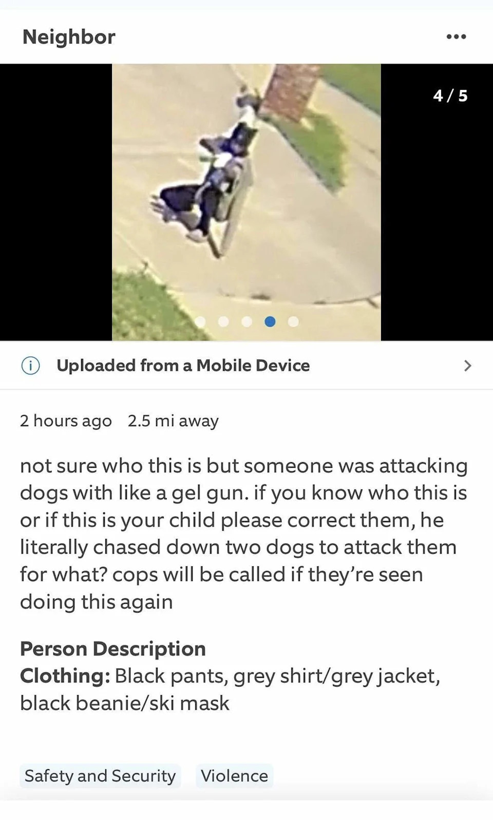 A photo published to Facebook showing the suspected shooter taking aim at one of the dogs while he cowered under a parked vehicle.