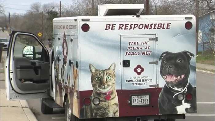 24-year-old hospitalized after dog bite on Northeast Side, ACS says