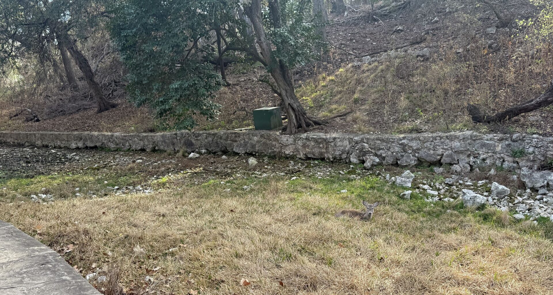 Stark images of Texas Hill Country springs raises concerns