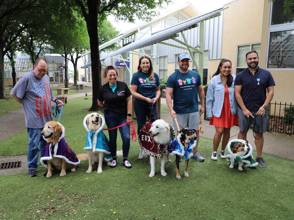 El R\u00edo Fido Coronation San Antonio