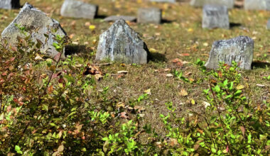 Can you bury a pet in your backyard in Texas? What the law says.