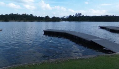 Swimmer dies during IRONMAN Texas event in The Woodlands