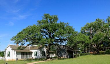 This tiny Texas town is a cheaper Fredericksburg alternative