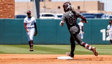 Louisiana State University Logo