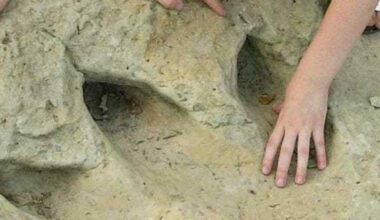 Texas state park near Fort Worth named 5th best for families