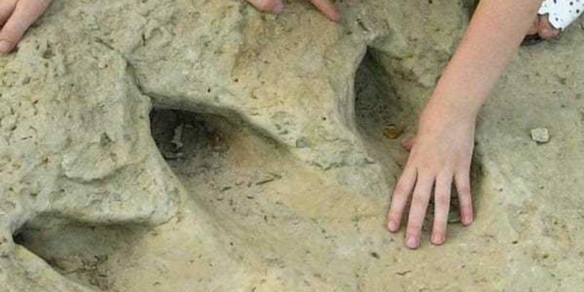 Texas state park near Fort Worth named 5th best for families