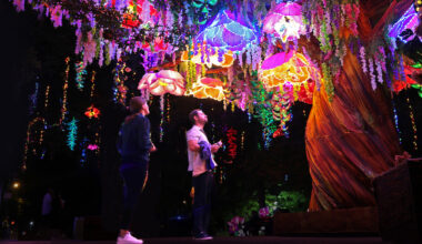 Photos: Dallas Zoo premieres its new after-hours lantern festival, Illuminature
