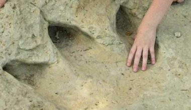 CultureMap Fort Worth