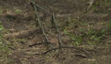 Houston residents say fiber installation causing damage, communication issues