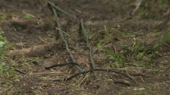 Houston residents say fiber installation causing damage, communication issues