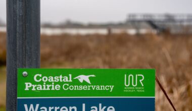 Houston conservation group battles CenterPoint over power line routes
