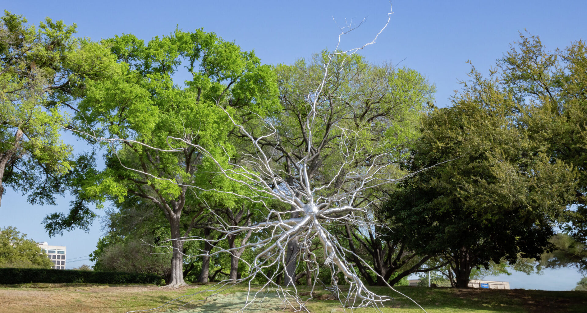 Roxy Paine steel sculpture now at Dallas' UT Southwestern