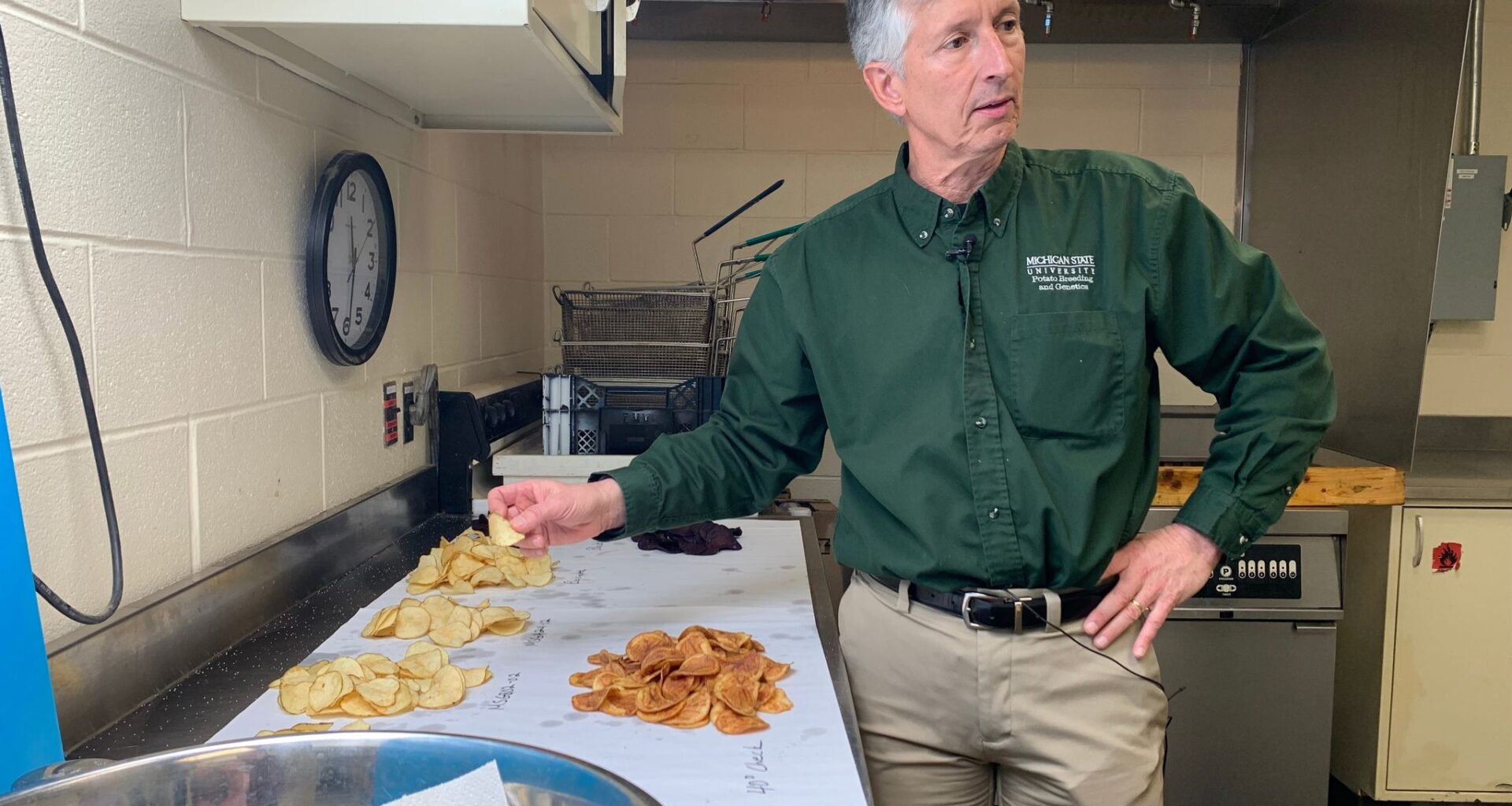 Researchers have spent decades breeding better potatoes for chips, and their work isn't done