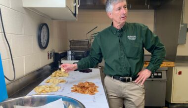 Researchers have spent decades breeding better potatoes for chips, and their work isn't done
