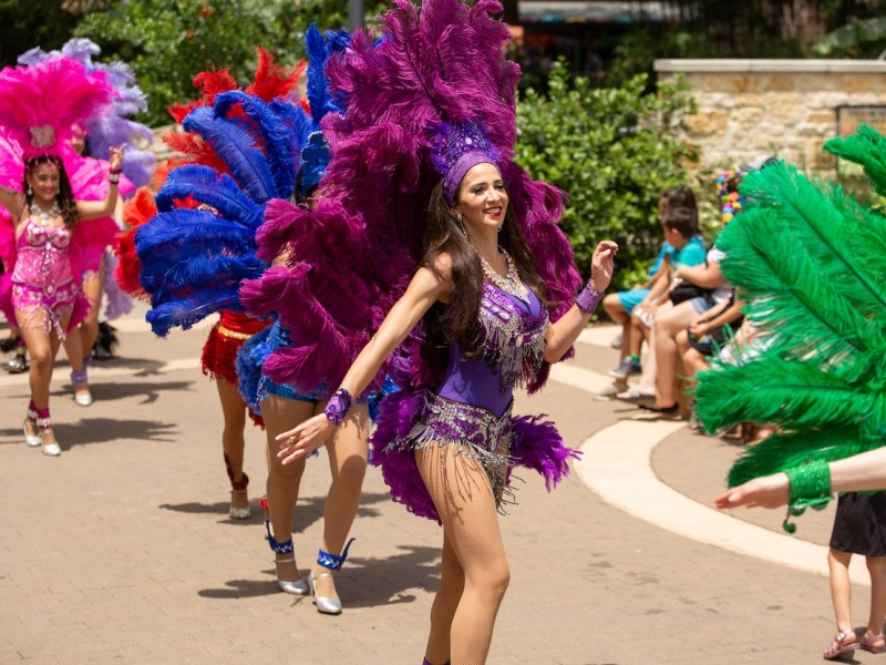 Festival de Animales returns to the San Antonio Zoo this weekend