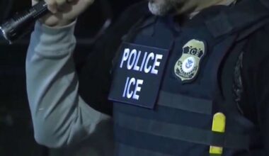 What happens during a traffic stop