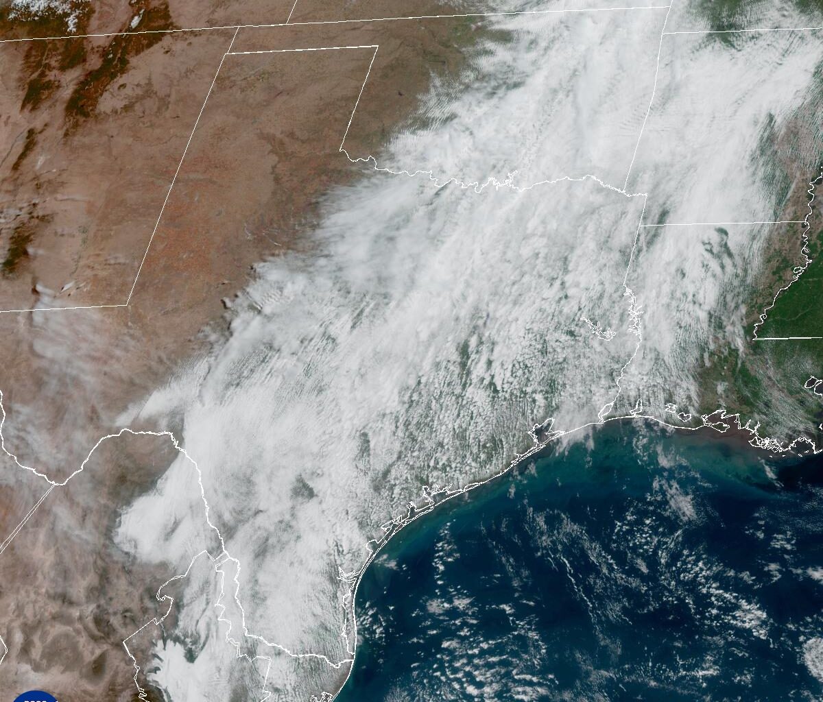 Sauna-like weather is coming to Austin. How close to 100 will it get?