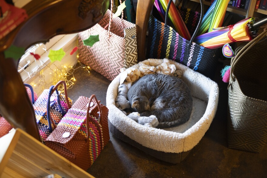 A gray tabby cat named Stormy sleeps inside a cat bed inside of Reverie Books, a book store in South Austin.