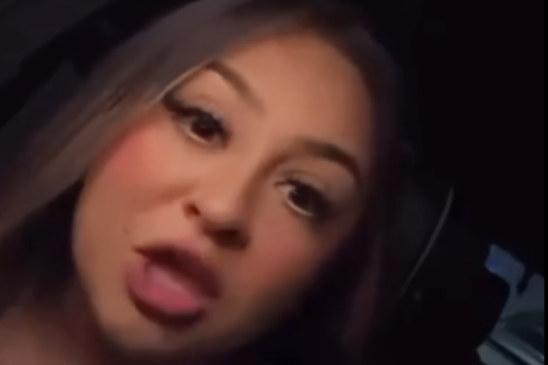 Houston police officer Ashley Gonzalez fired after viral racist video