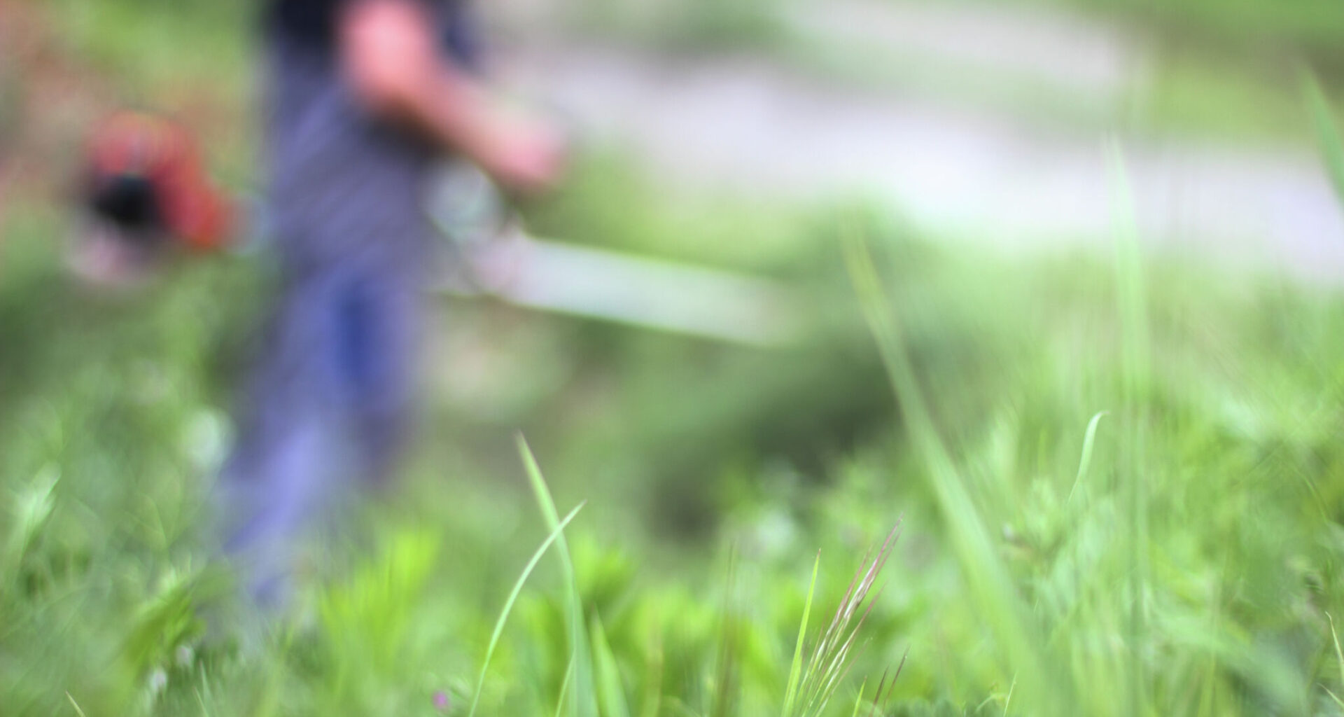 Can you get fined for tall grass in San Antonio? What to know.