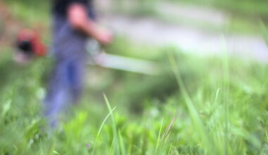 Can you get fined for tall grass in San Antonio? What to know.