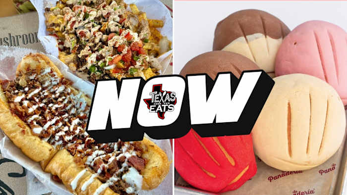 BBQ fusion, Seven Seas Festival, food truck favorites, artisan pan dulce, and mesquite Mexican