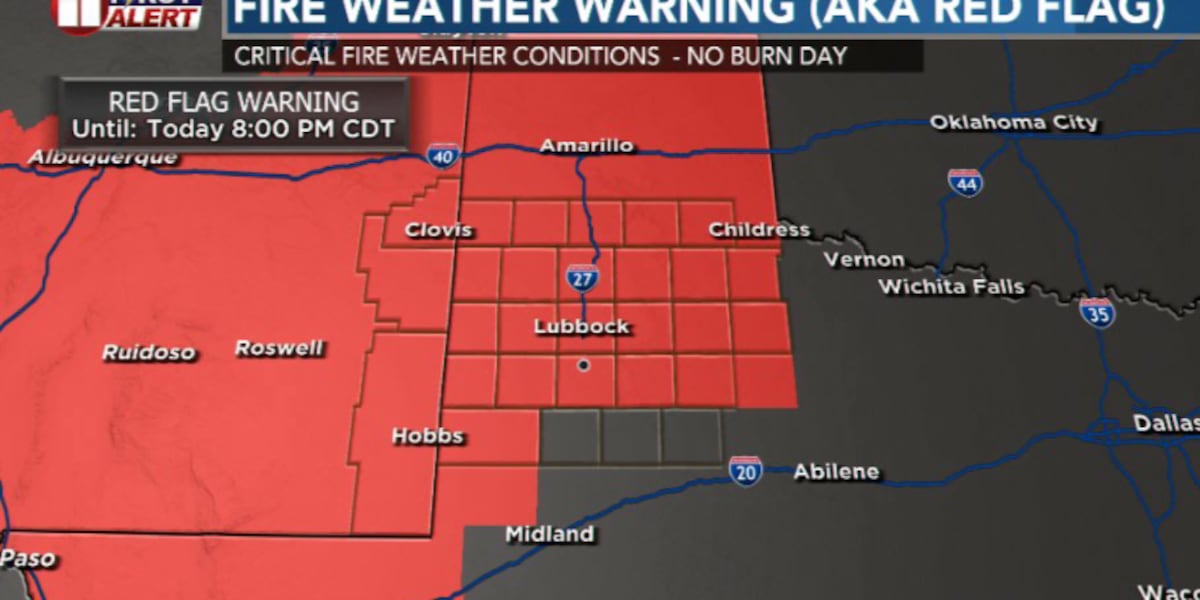 High fire danger today as strong winds sweep the South Plains