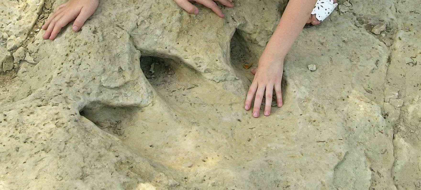 Dinosaur Valley State Park ranked Texas' No. 1 campground