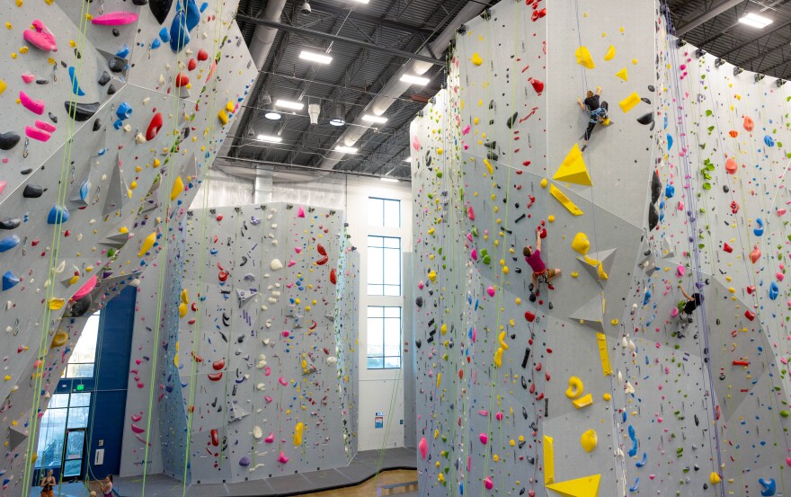 Three people rock climbing at Mesa Rim in Austin, Texas, on February 25, 2025. Russell Crawford/KUT News