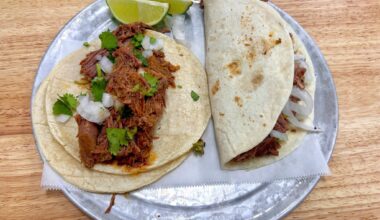 A birria taco and carnitas quesadilla from Tacopolis.