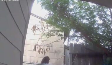 Corpus Christi fire linked to squatting raises awareness of new Texas anti-squatter laws