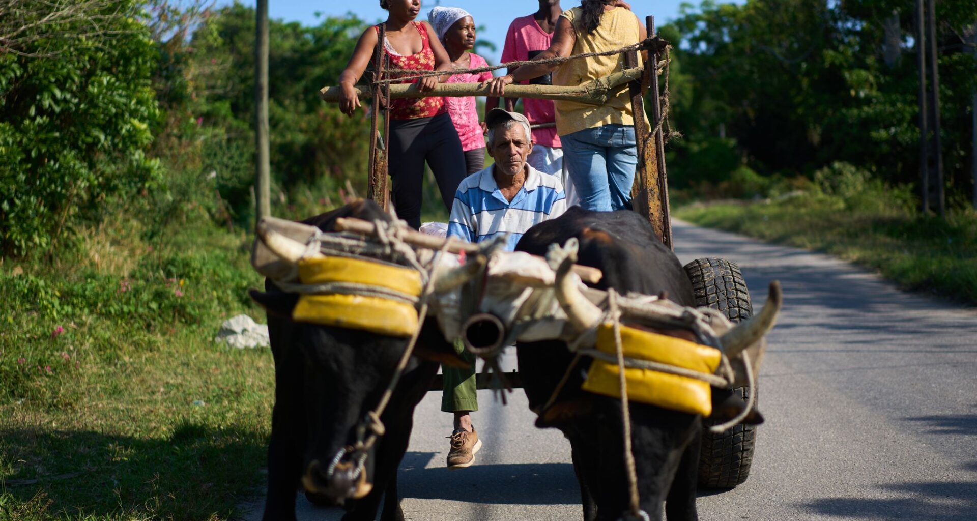 US energy blockade leaves Cuban farmers struggling to feed a nation