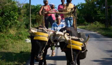 US energy blockade leaves Cuban farmers struggling to feed a nation
