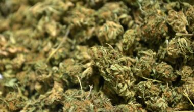 Texas Hemp Industry Hearing Today: Legal Fight Over THC
