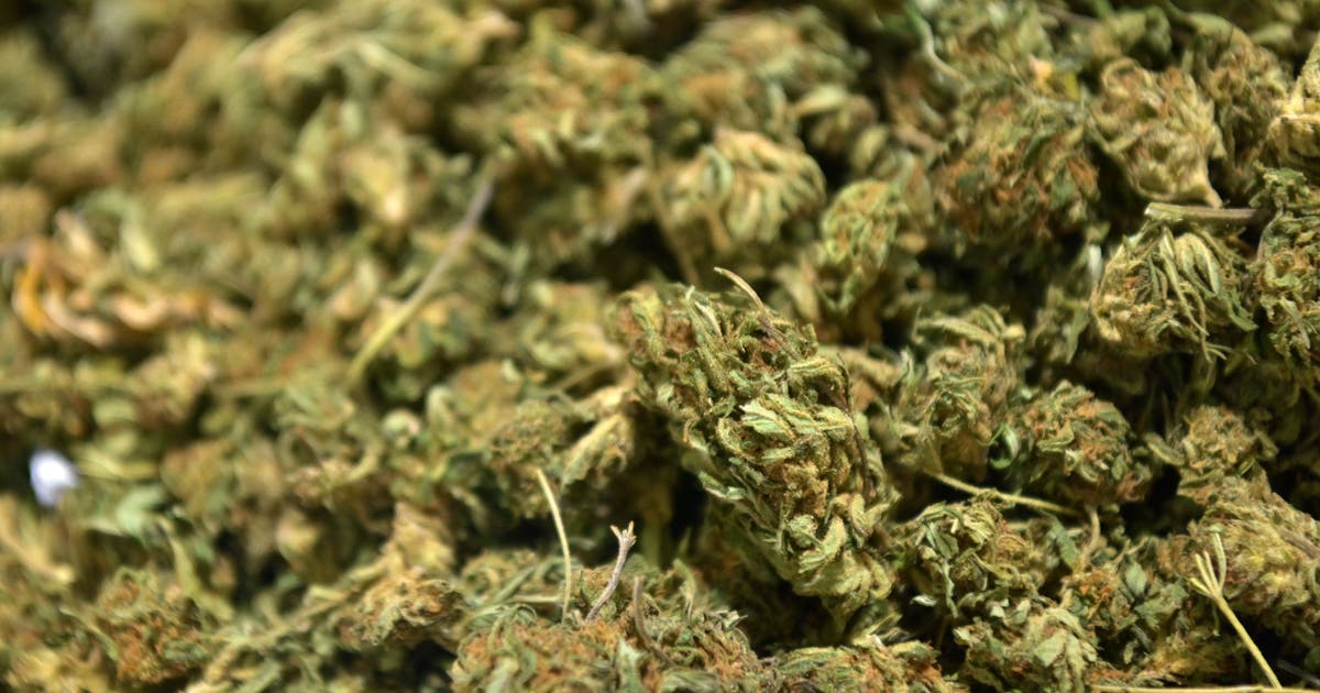 Texas Hemp Industry Hearing Today: Legal Fight Over THC