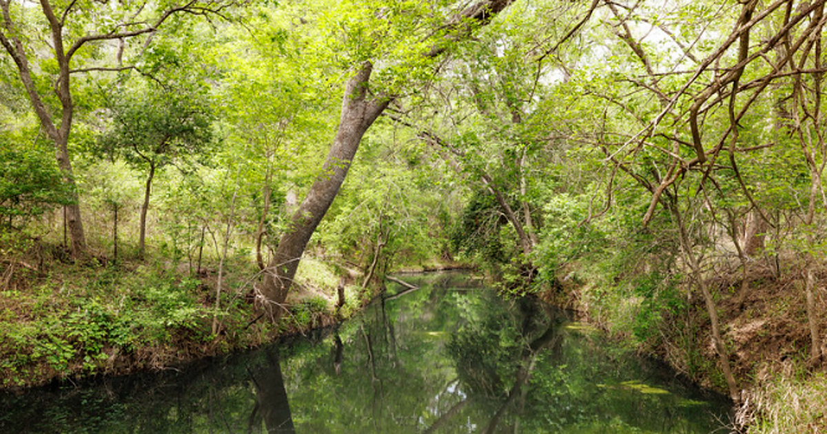 Texas adds nearly 200 new acres to state park in Hill Country