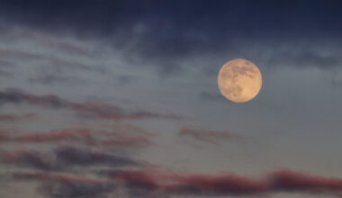 When is there a full moon in May 2026? What Texans should know.