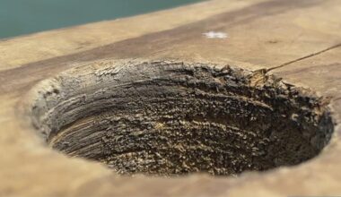 New holes at Bob Hall Pier prompt crackdown