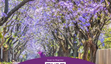 2026 Houston Walk to End Lupus Now at Texas Southern University