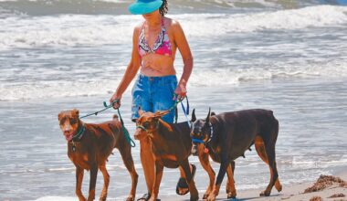On a walk - Port Aransas South Jetty