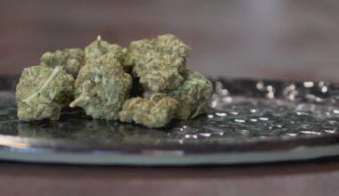A new Texas law banned most smokable products. One local business says they now face a crushing 85% drop in sales
