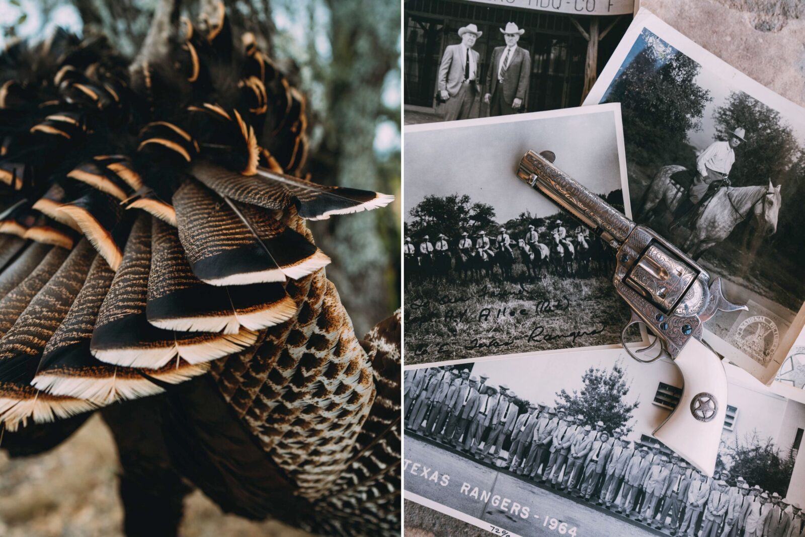 Rio Grande tail feathers; a gun with photos on a table